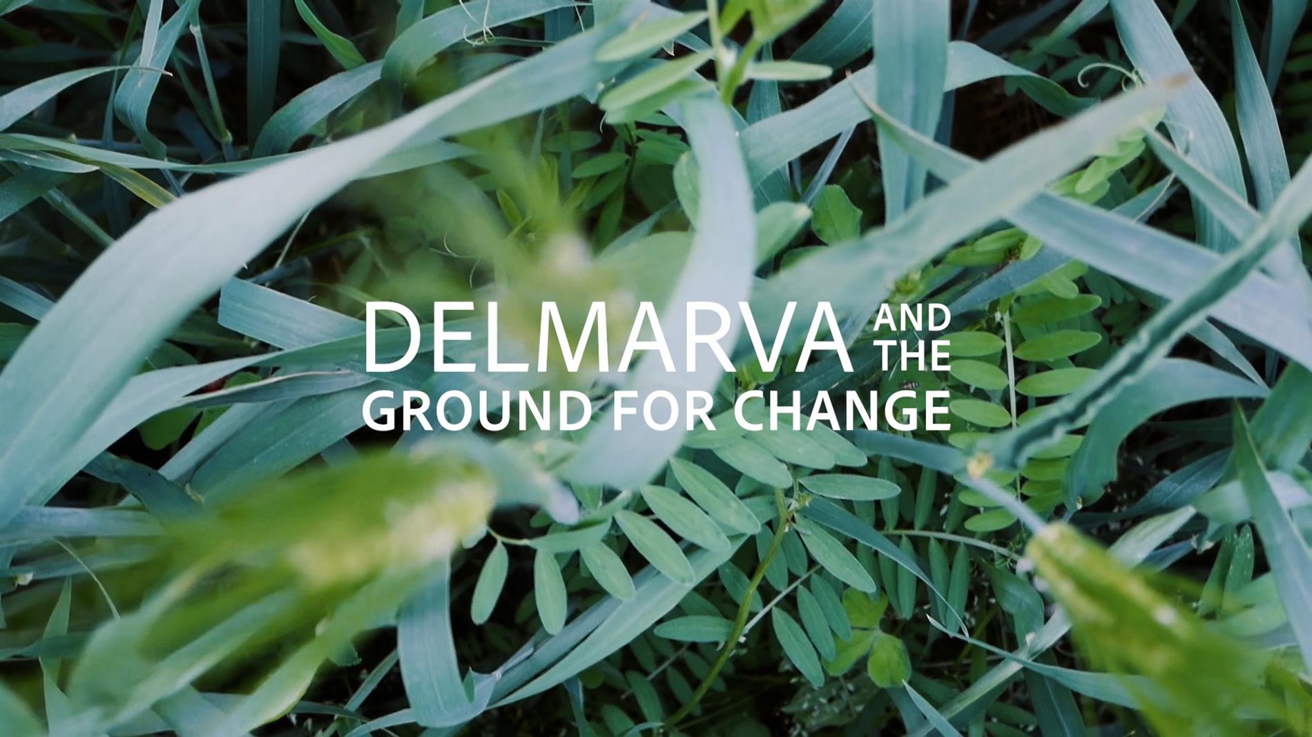 UMD Extension presents Delmarva and the Ground for Change