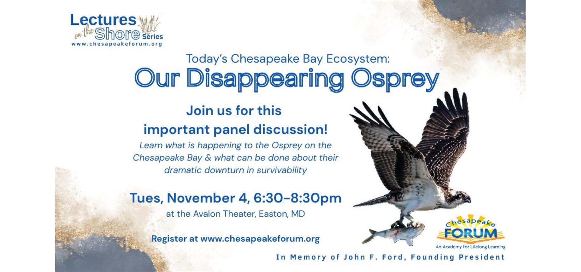 Chesapeake Forum Presents Lectures on the Shore: Our Disappearing Osprey