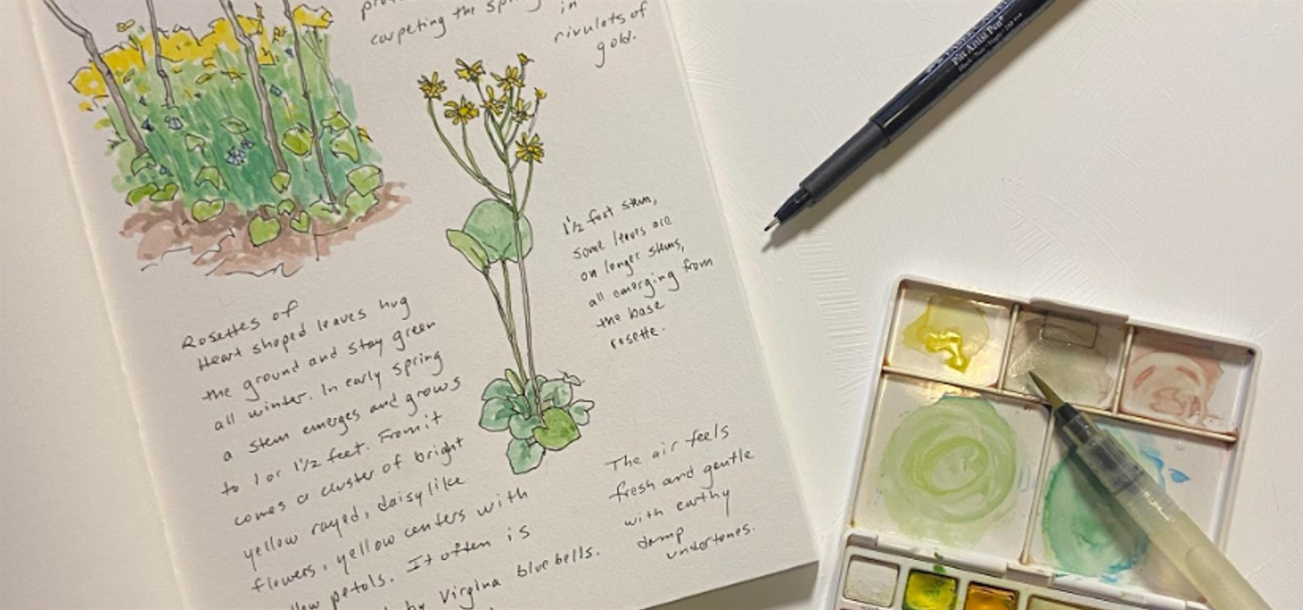 Botanical Journaling