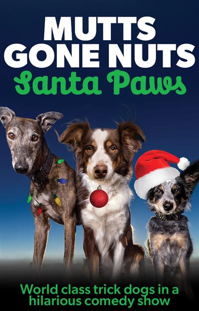 Mutts Gone Nuts: Santa Paws