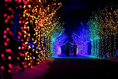 Winterlights