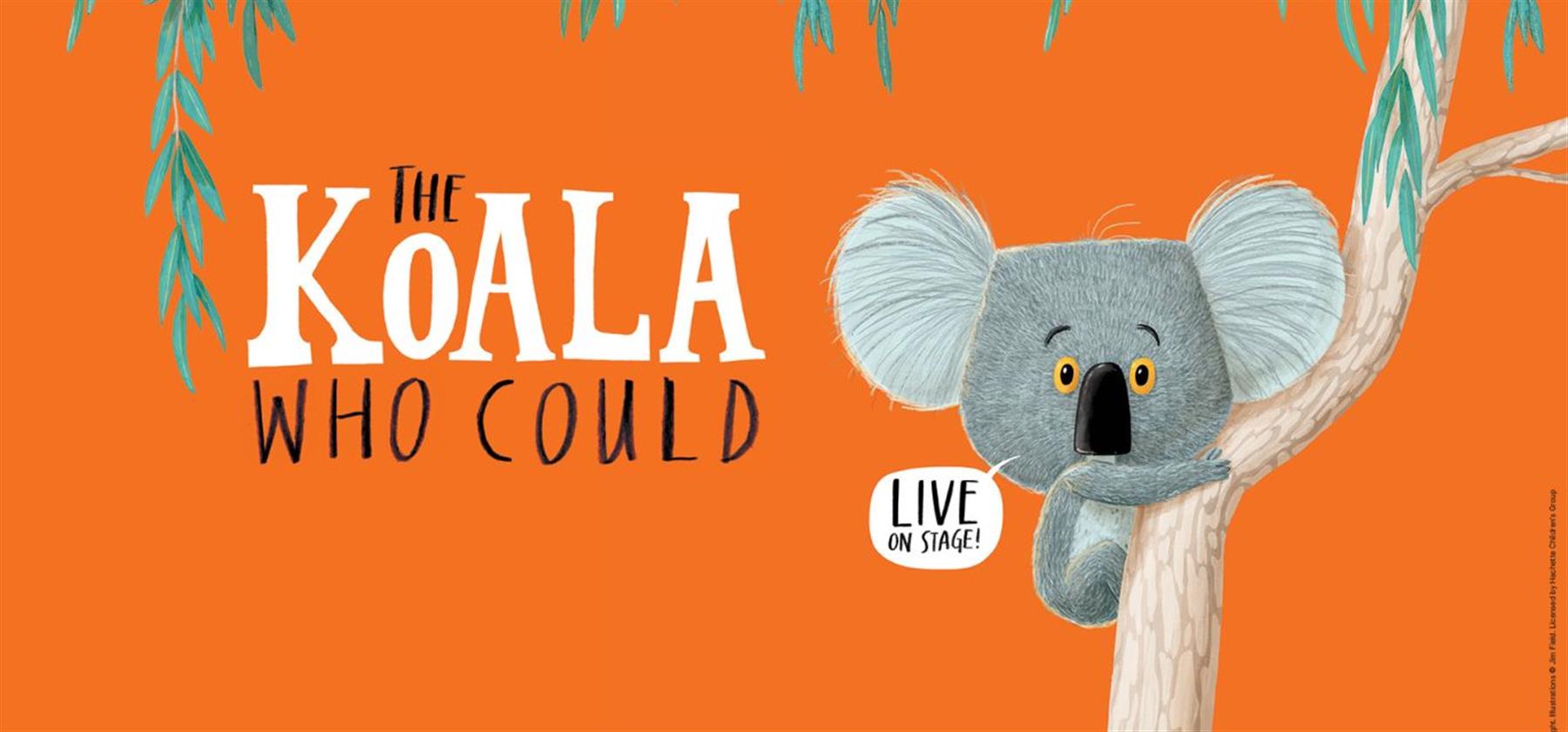 The Koala Who Could