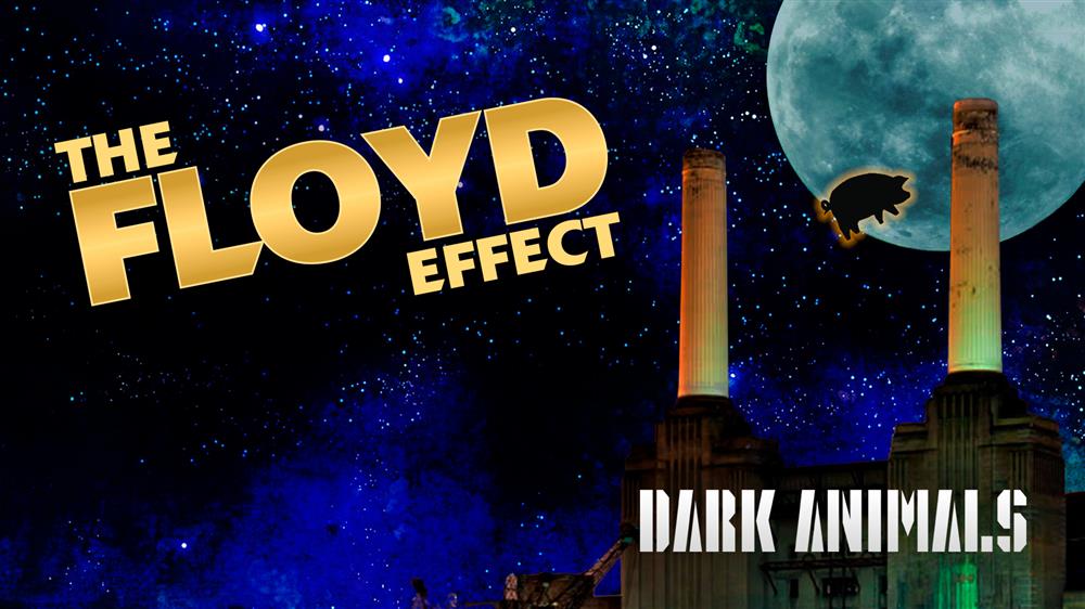 The Floyd Effect - Dark Animals Tour