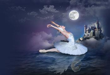 Promotional image of Crown Ballet Present: Swan Lake 
