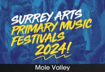 Promotional image of Surrey Arts Primary Schools Music Festival - Mole Valley