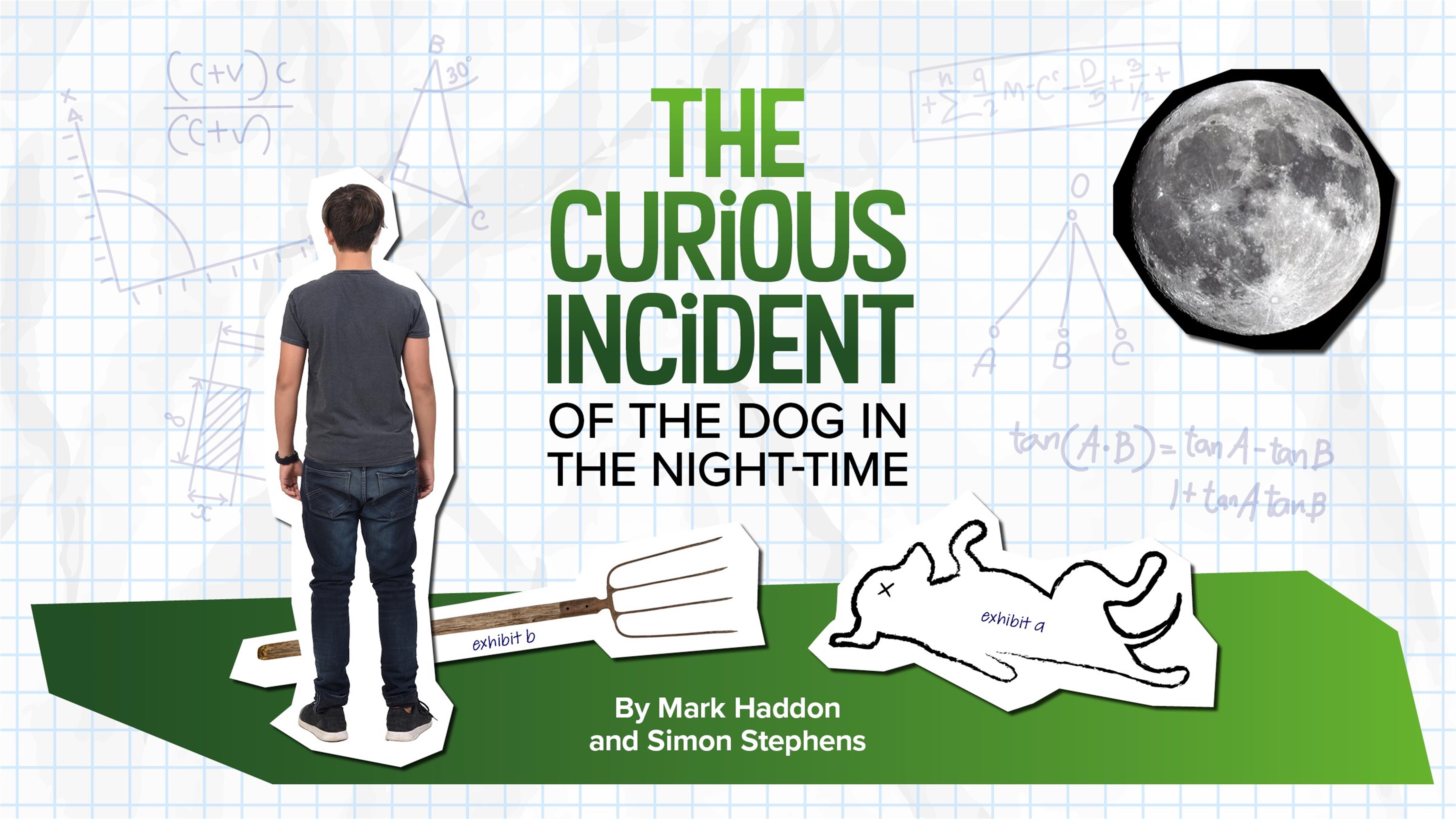 The Curious Incident of the Dog in the Night-Time