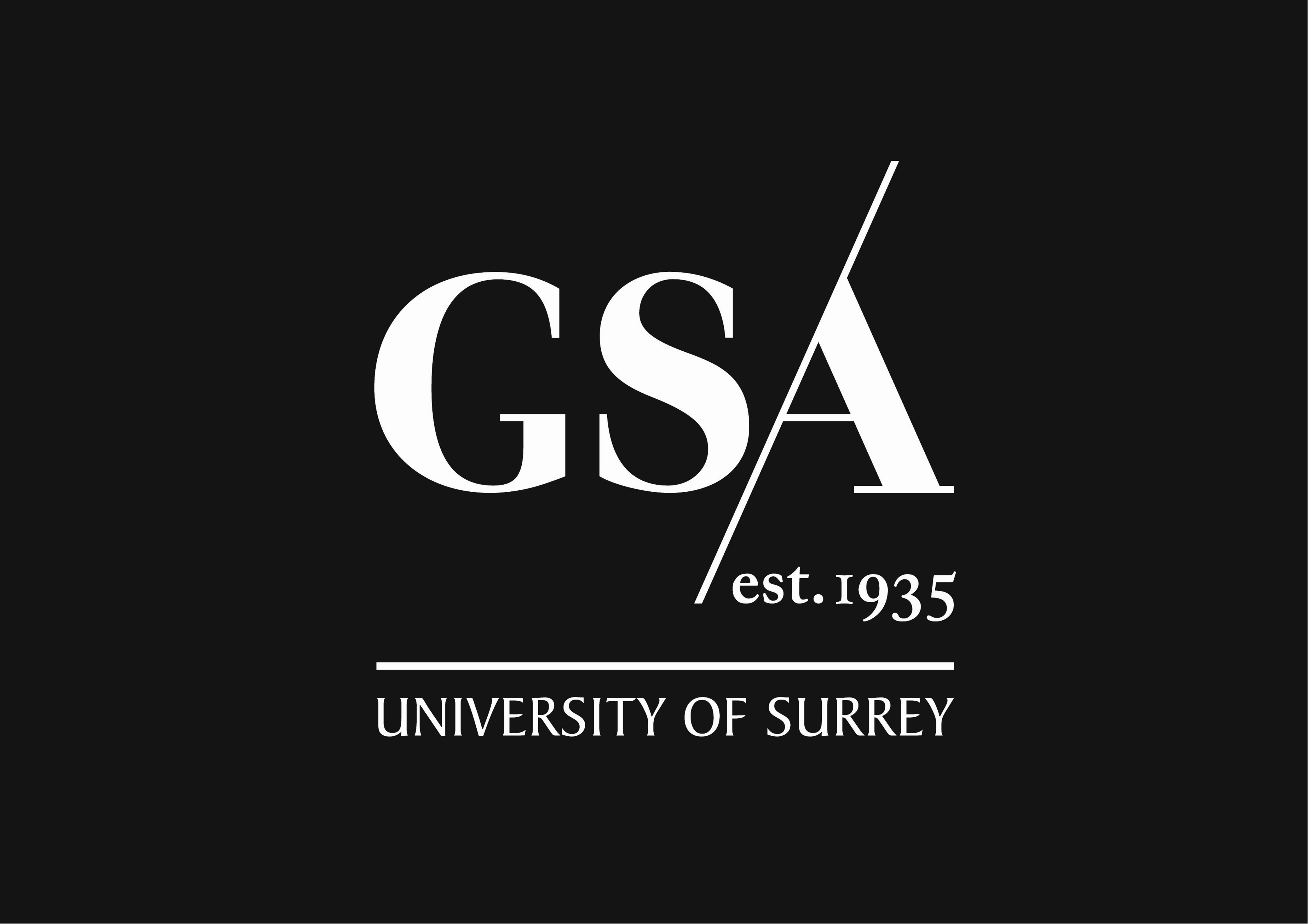 GSA Alumni - Class of 2005 Reunion 