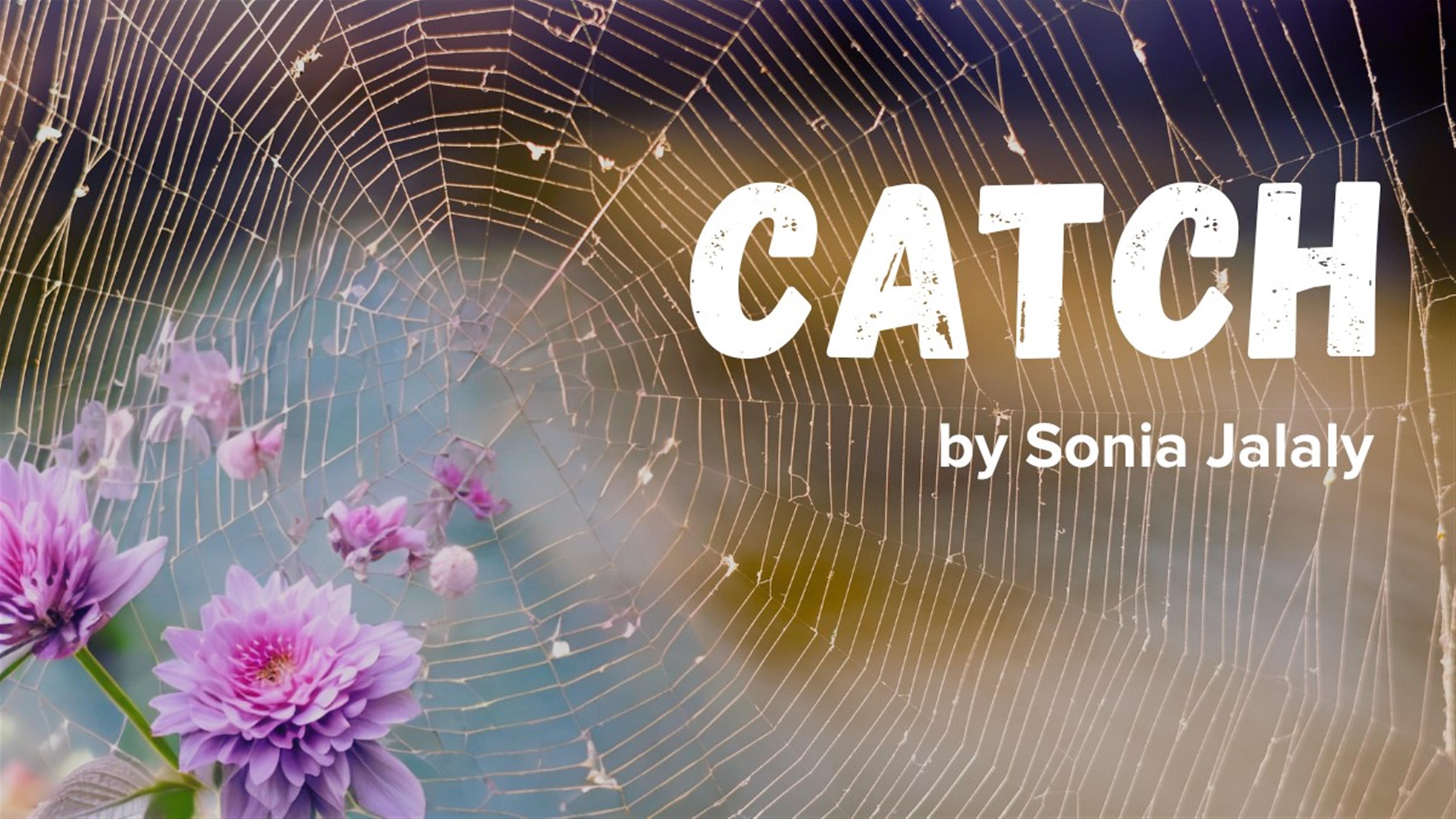 Catch by Sonia Jalaly 