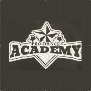 Image - Pro Dance Academy Banner