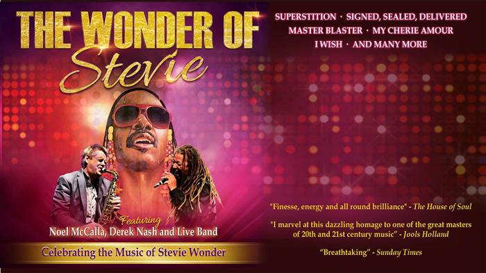 The Wonder of Stevie