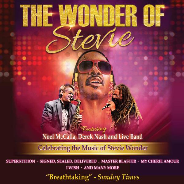 The Wonder of Stevie