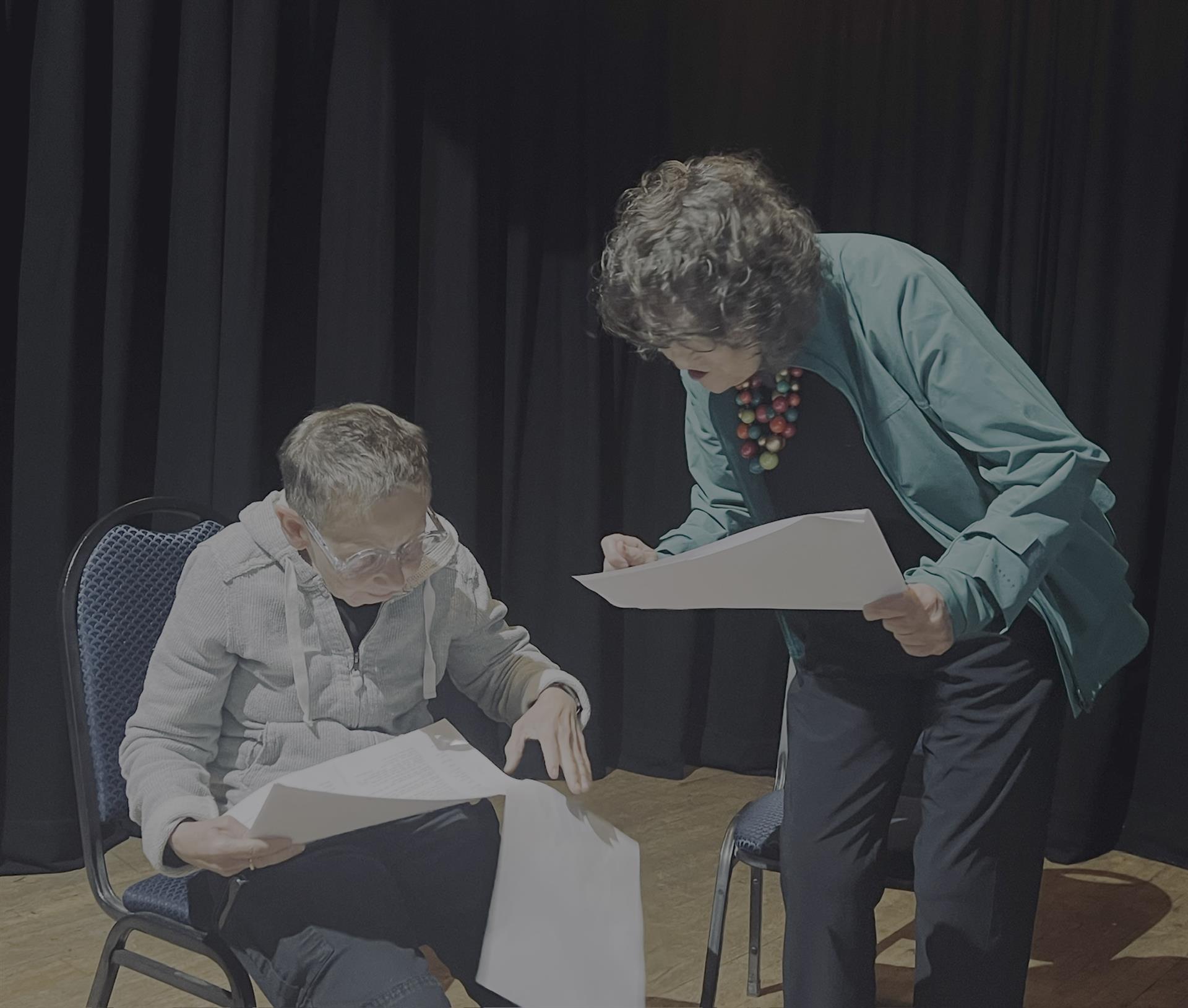 Adult Theatre Group (18 and over) - Lowther Pavilion