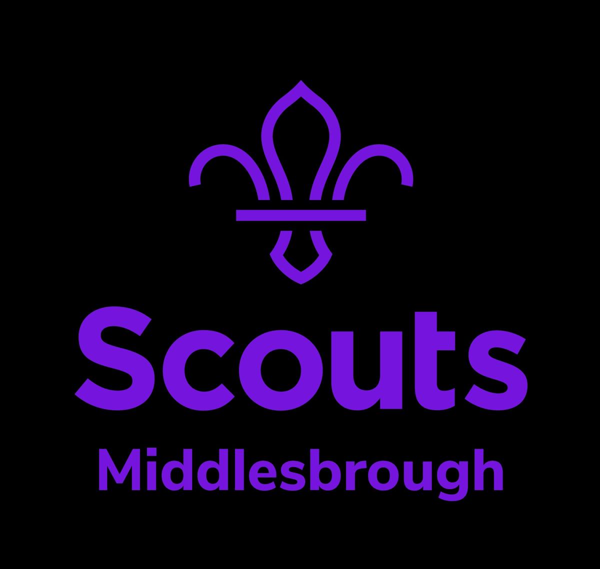 Poster image for The Gang Show