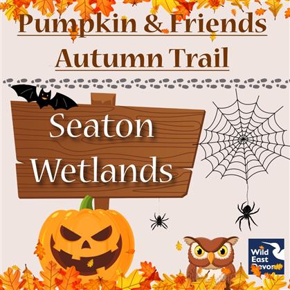 Flyer for Pumpkin and Friends Autumn Trail
