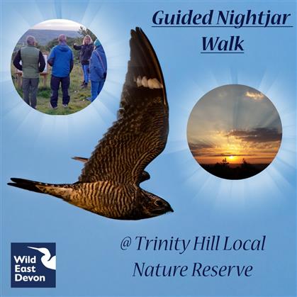 Flyer for Nightjar Guided Walk