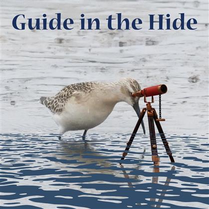 Flyer for Guide in the Hide