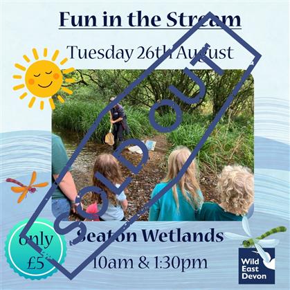 Flyer for Fun in the Stream at Seaton Wetlands 2025