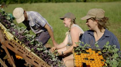 Flyer for Climate Conversations Talk and Film Screening