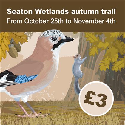 Flyer for Autumn Trail at Seaton Wetlands