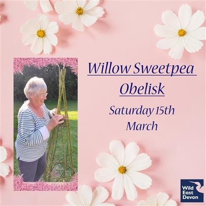 Promotional image for Willow Weaving - Sweetpea Obelisk