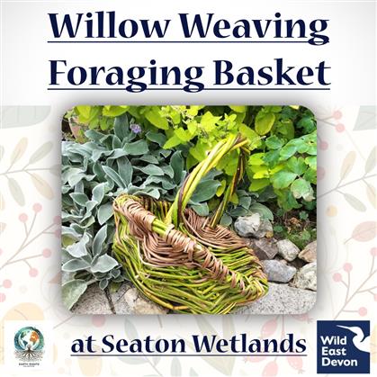 Flyer for Foraging Basket Willow Weaving