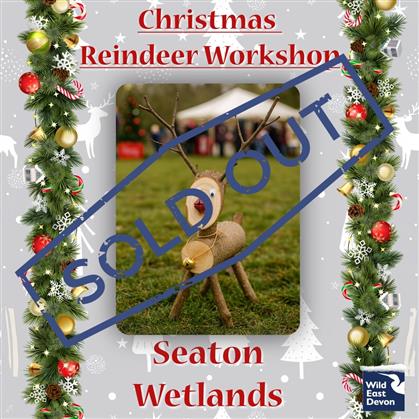 Flyer for Christmas Reindeer Workshop