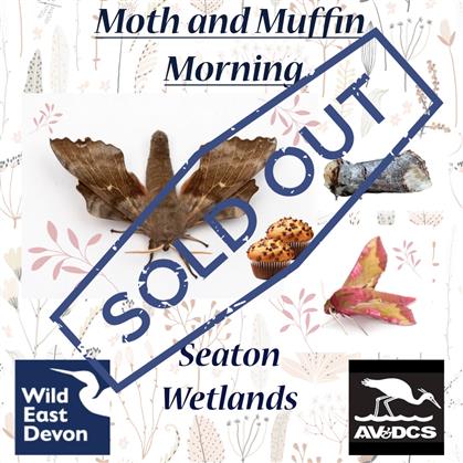 Flyer for Moth and Muffin Morning