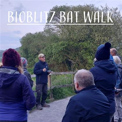 Flyer for Bioblitz Bat Walk - Seaton Wetlands