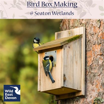 Flyer for Bird Box Making