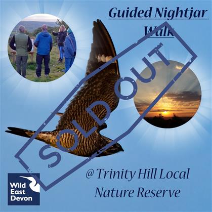 Flyer for Nightjar Guided Walk