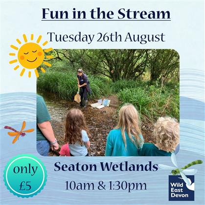 Flyer for Fun in the Stream at Seaton Wetlands 2025