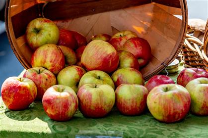 Flyer for Apple Pressing Day