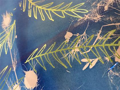 Flyer for Festive Foil Cyanotype Workshop