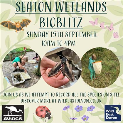 Flyer for BioBlitz at Seaton Wetlands