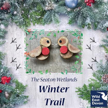 Flyer for Winter Trail Seaton Wetlands