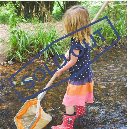 Flyer for Fun in the Stream at Seaton Wetlands