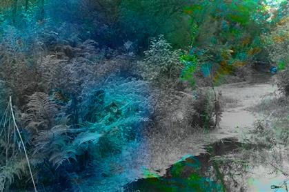 Flyer for Shifting Waterscapes performance and talk