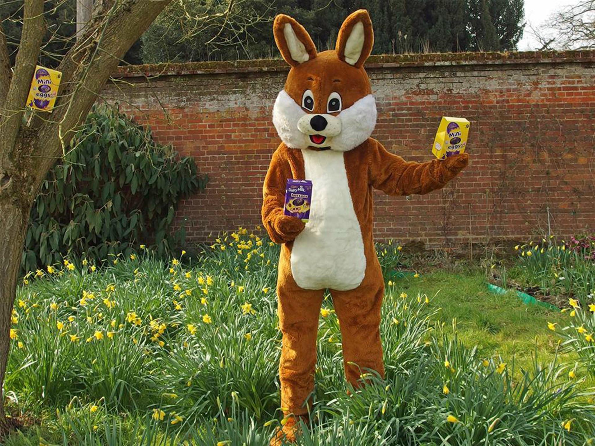 Nowton Park's Amazing Easter Egg Hunt image