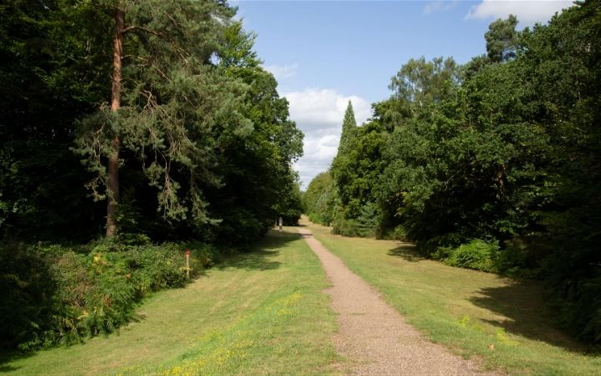 Brandon Country Park’s Summer Holiday Trail image
