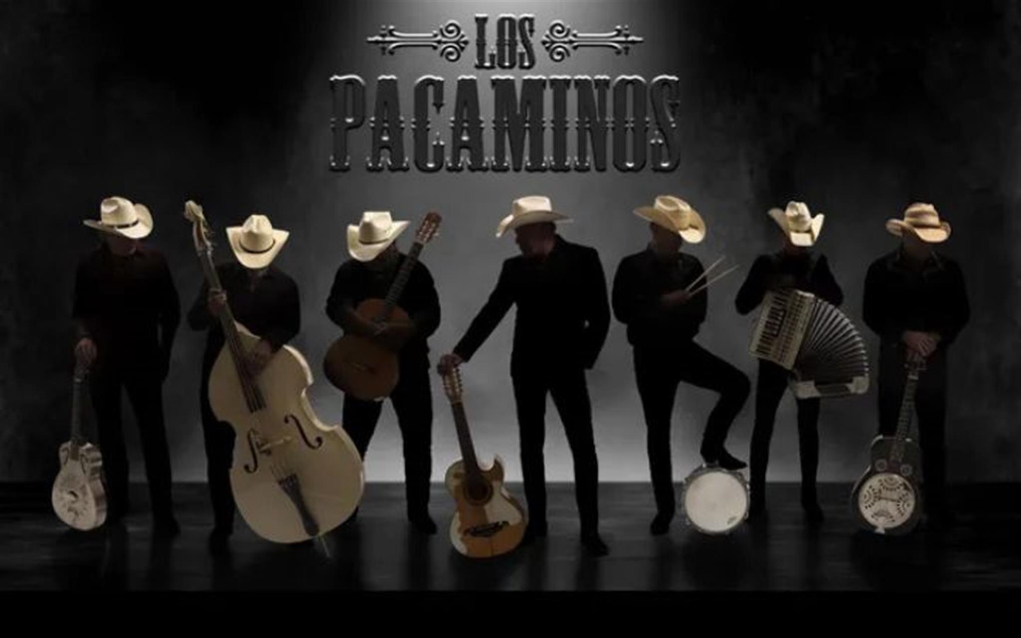 Los Pacaminos image