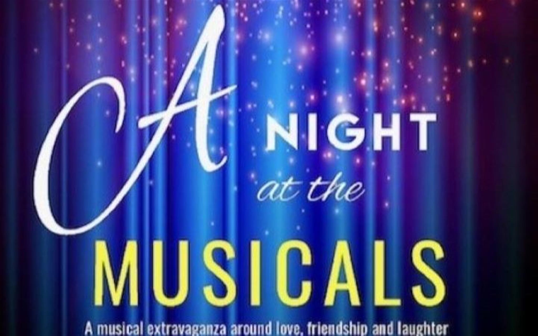 A Night at the Musicals image