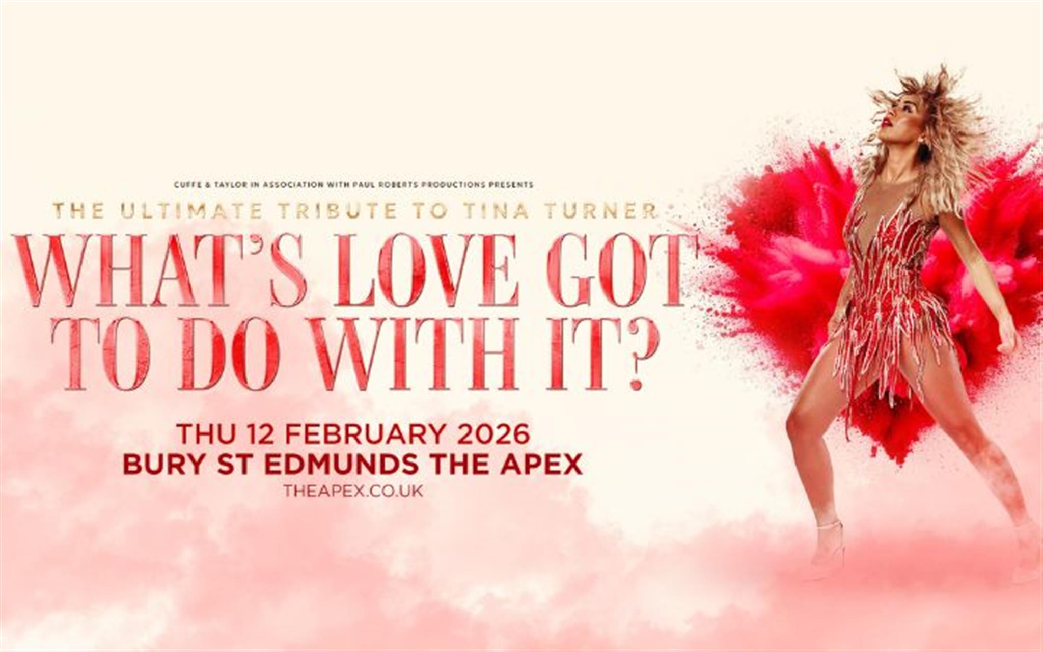 What's Love Got To Do With It? image