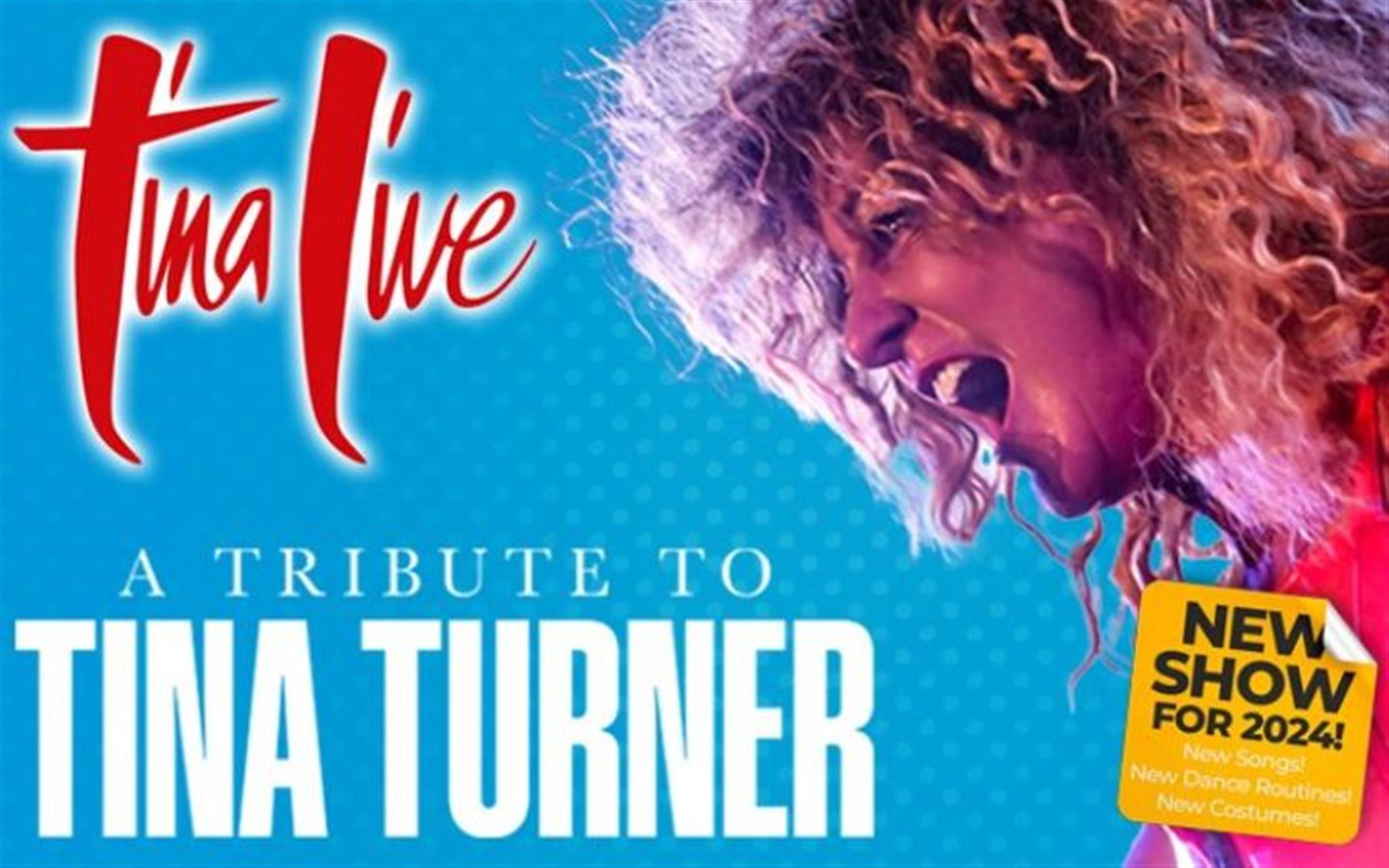 Tina Live – The Tina Turner Experience image