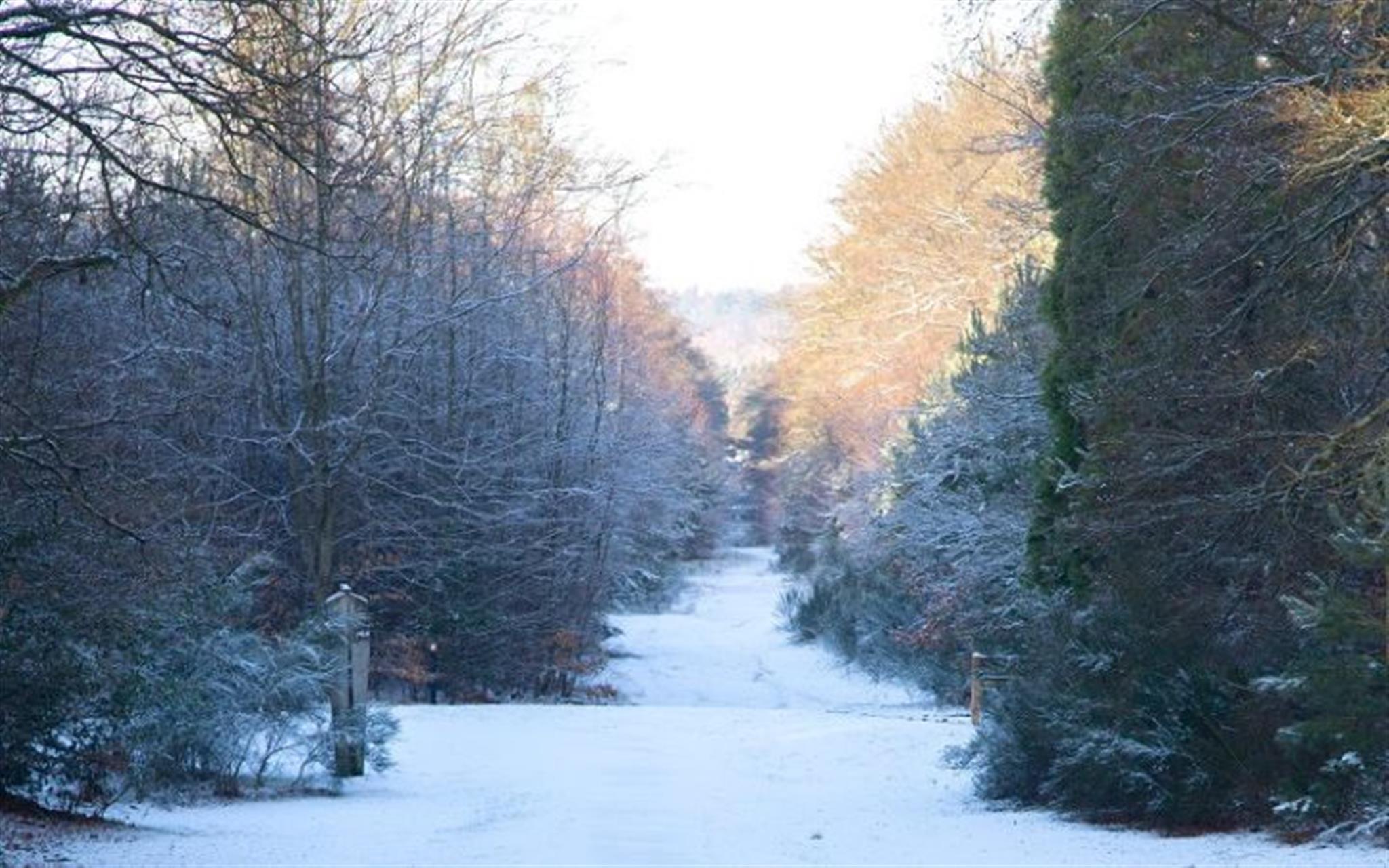 Brandon Country Park’s Winter Prize Trail