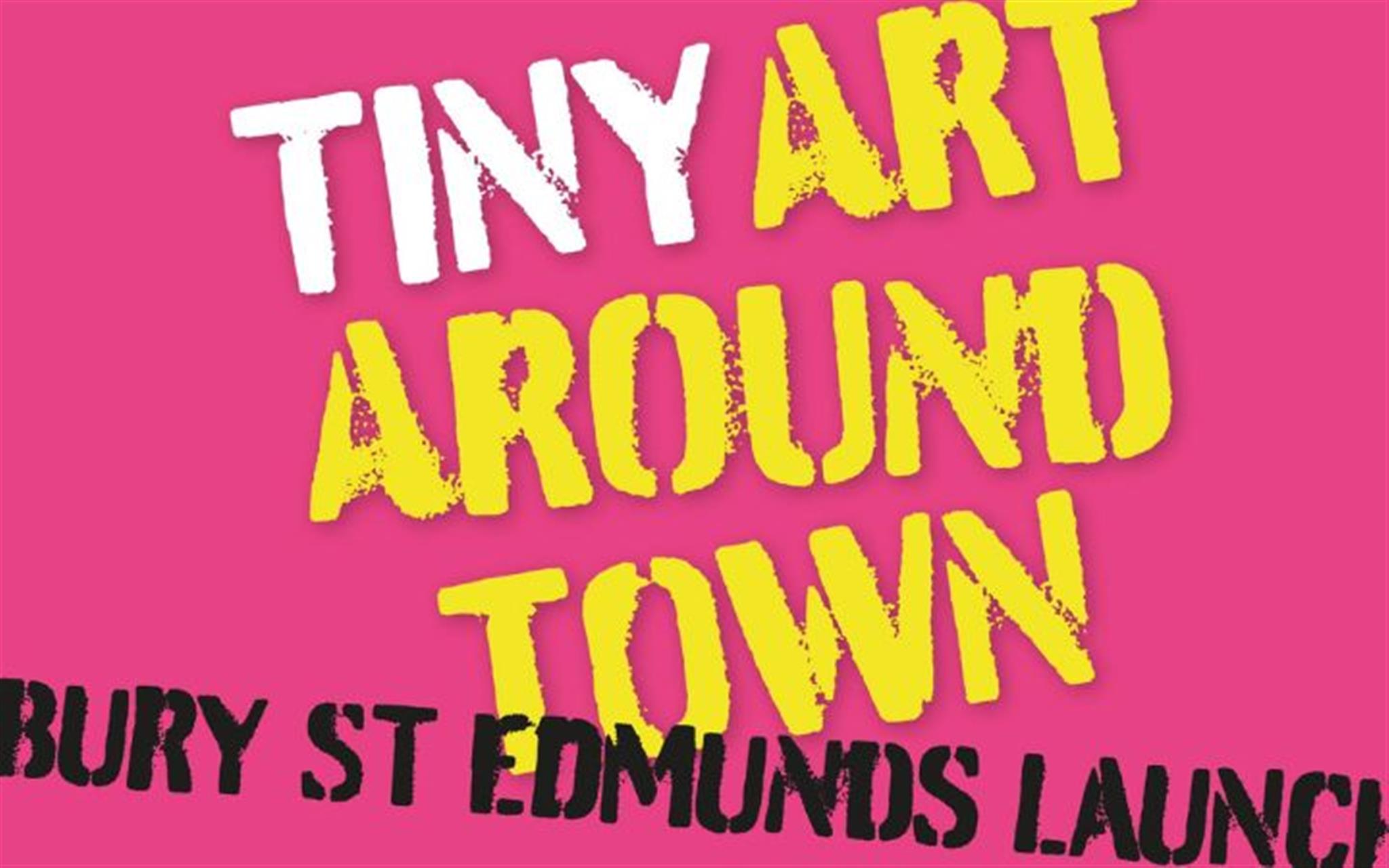 Tiny Art Around Town - Bury St Edmunds Launch Event