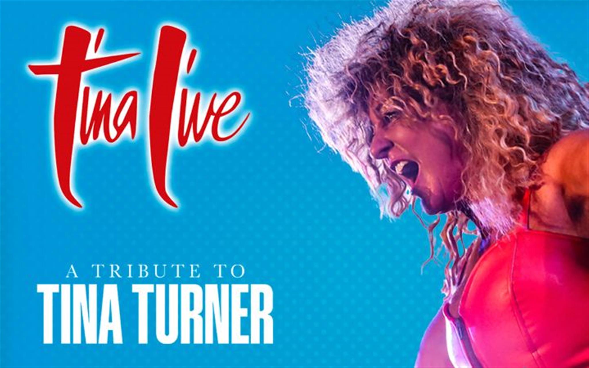 The Tina Turner Experience   image