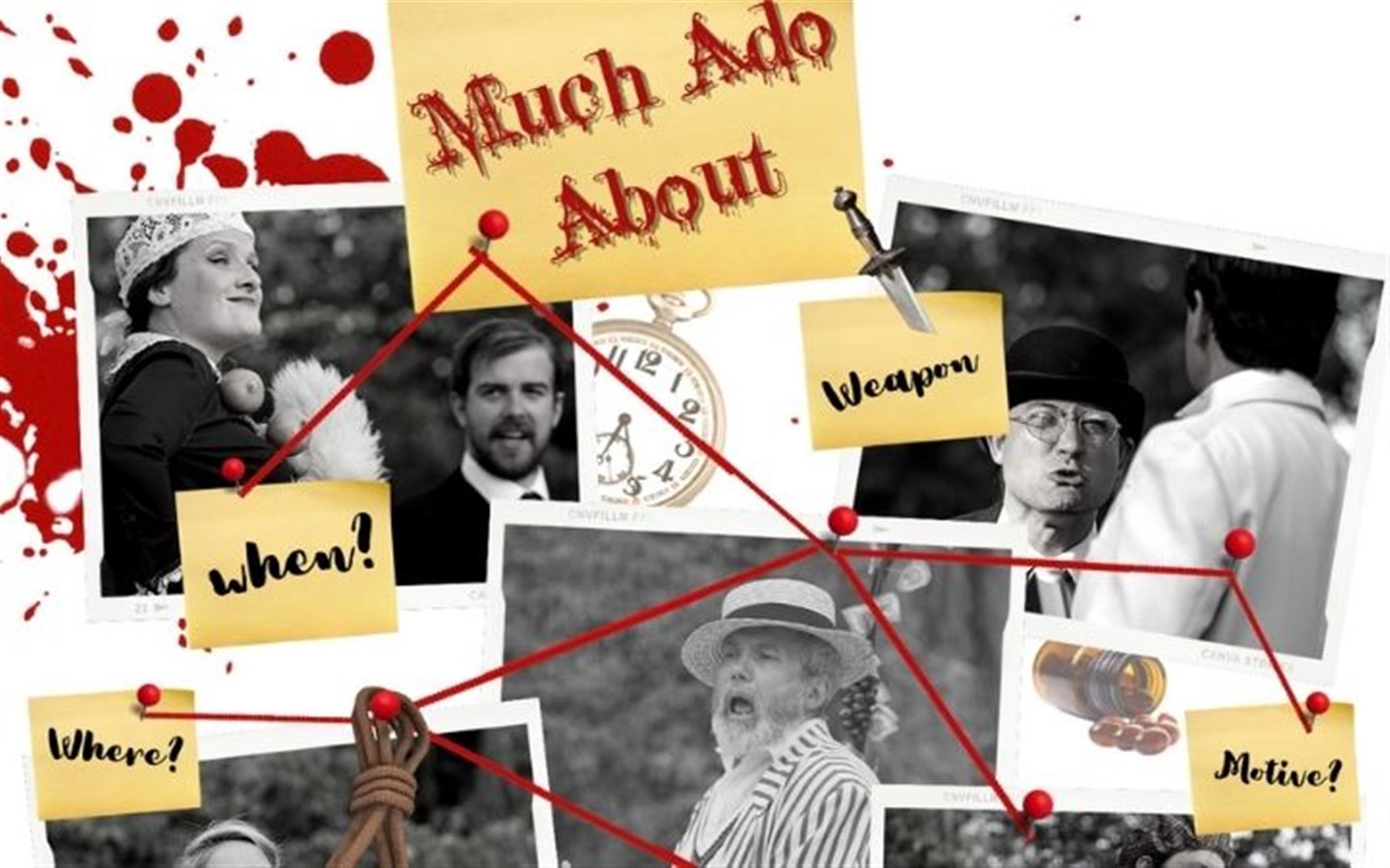 Theatre in the Parks - Much Ado About Murder image