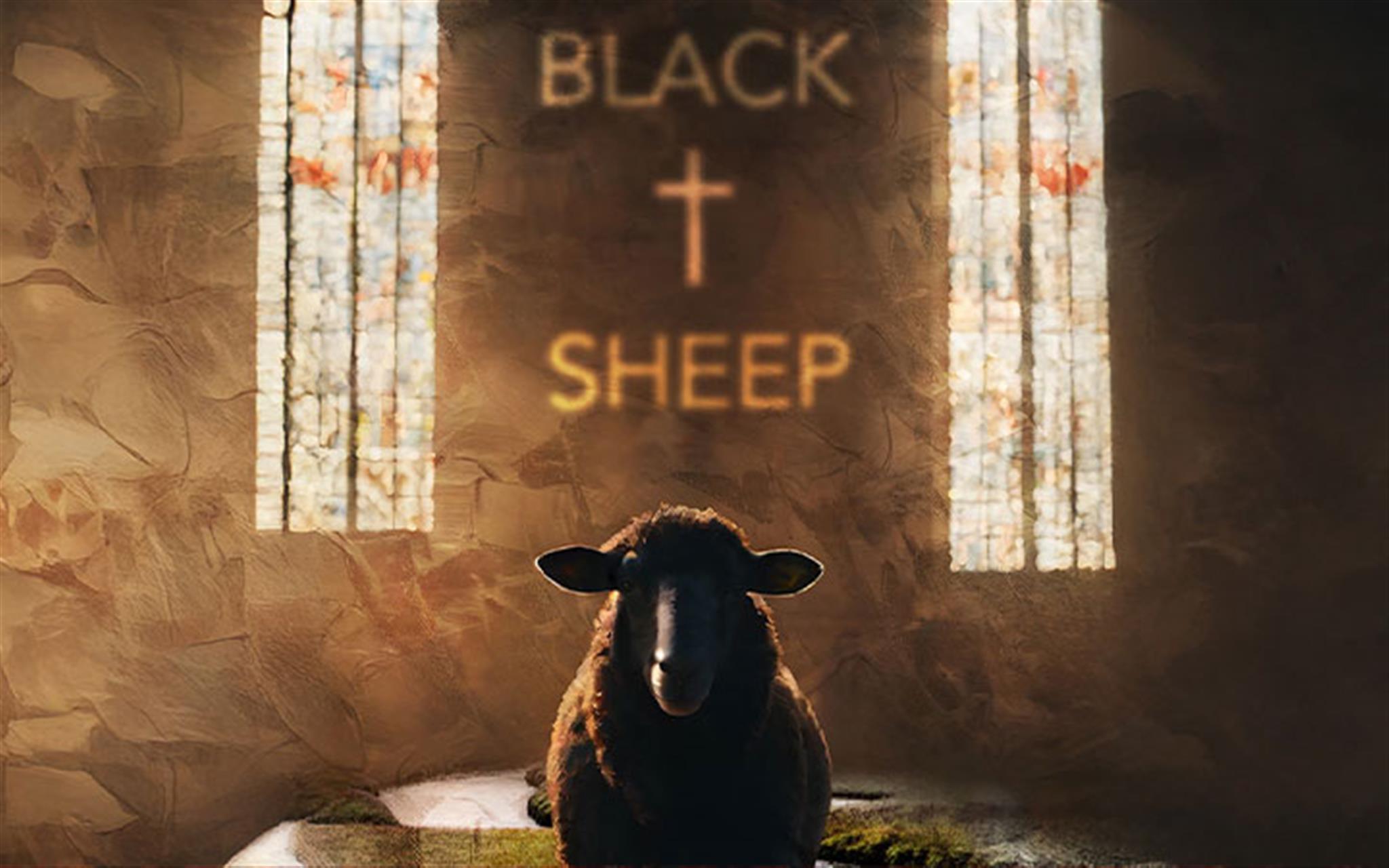 Black Sheep image