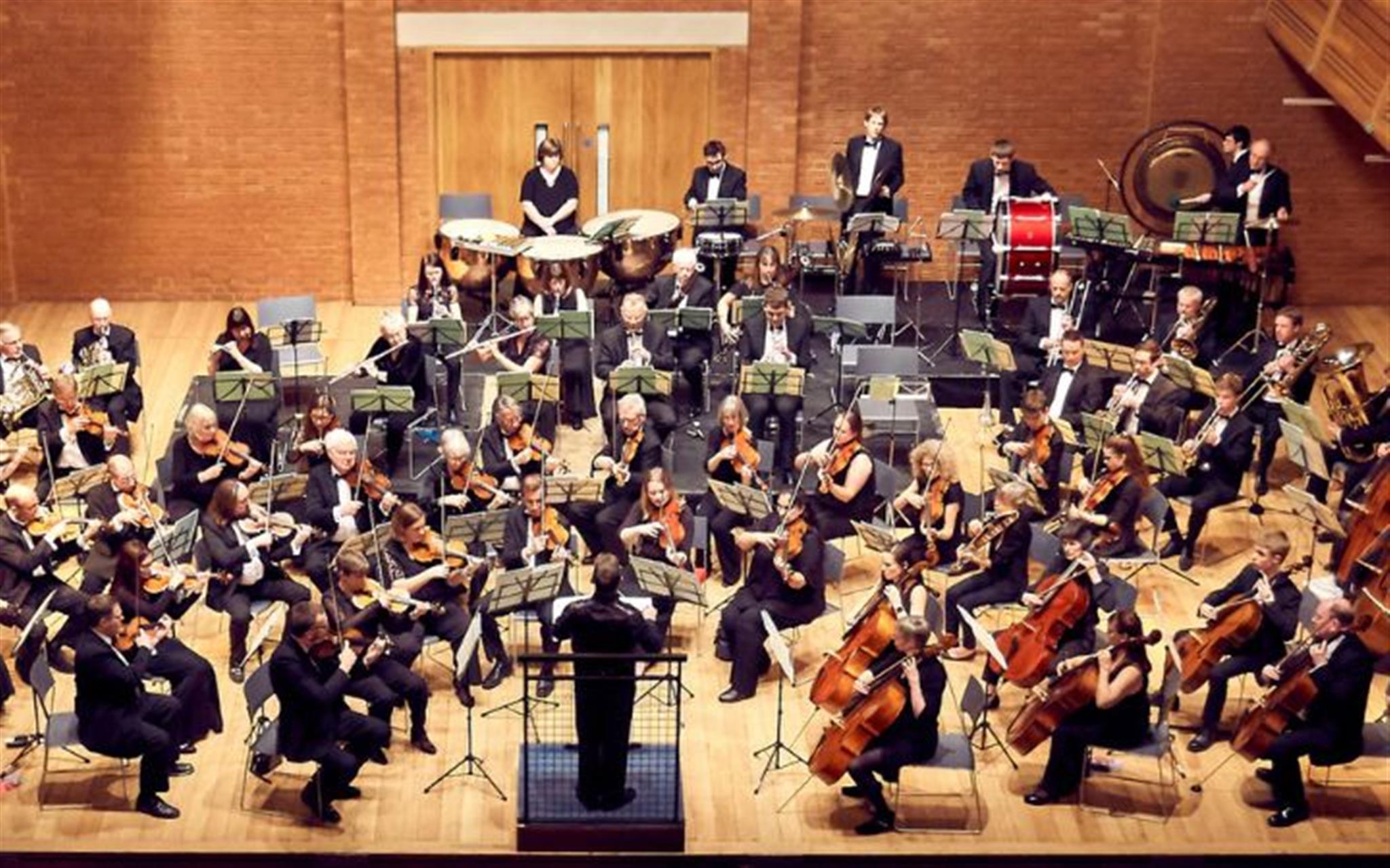 Wolsey Orchestra Concert 