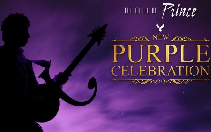 New Purple Celebration